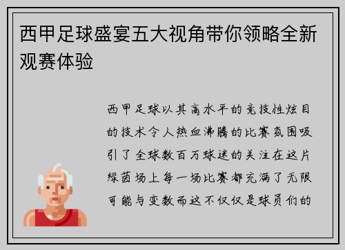 西甲足球盛宴五大视角带你领略全新观赛体验